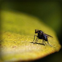 /album/forumtr-com-tr/photolia-a07-jpg/